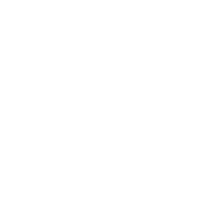 alea_white_vintage_logo