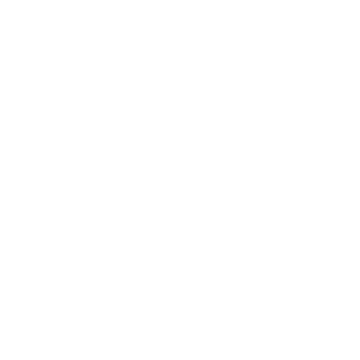 Snaj Consulting